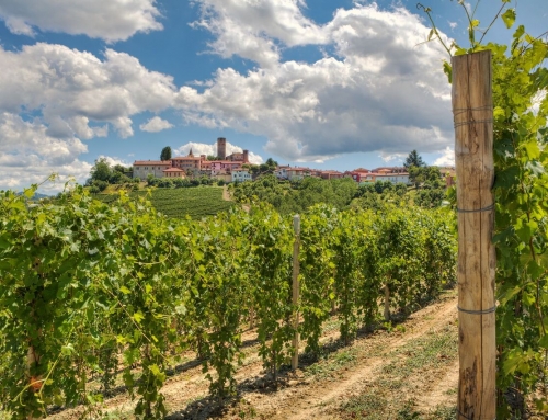 What It Means to Develop Sustainable Food & Wine Tours in Italy