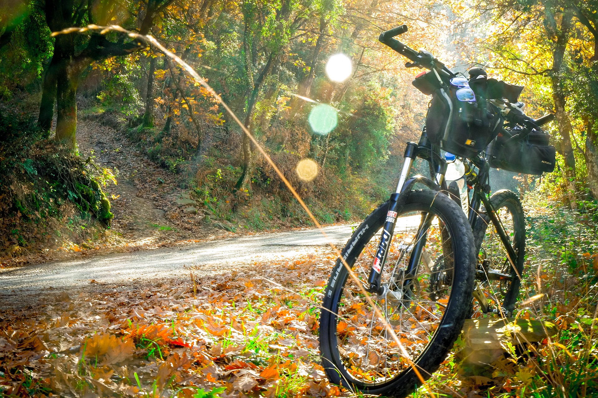 cycle tourism