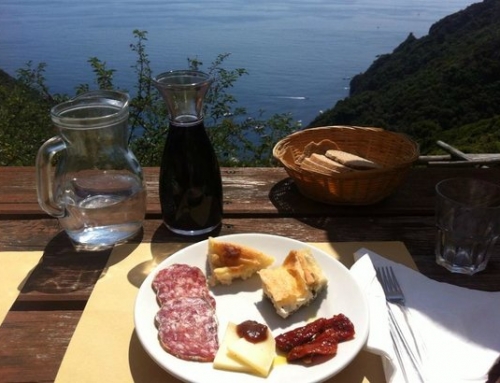 Back to the roots: find out what Drink & Taste Italy really means with FindYourItaly